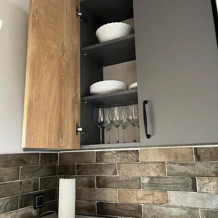 Duna Panonia -city Center アパート ノヴィ・サド