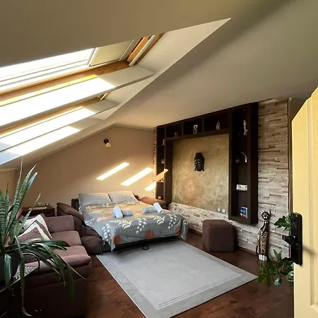 Duna Panonia -city Center * ノヴィ・サド